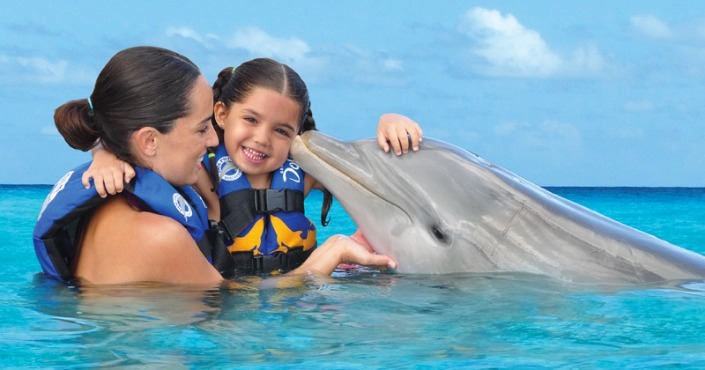 Dolphin swim and ride Los Cabos